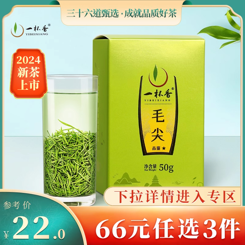 一杯香毛尖绿茶茶叶50g