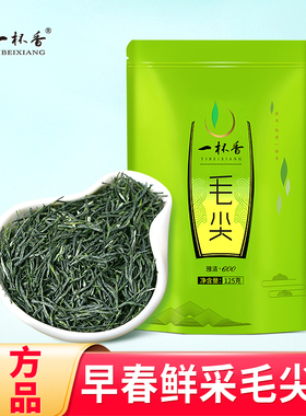 2025新茶一杯香明前毛尖125g茶叶绿茶春茶自己喝正品官方旗舰店