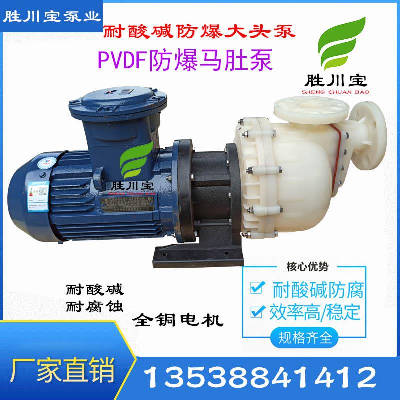 新款1.5KWPVDF防爆大头泵 马肚泵 污水泵 氟塑料自吸泵包邮