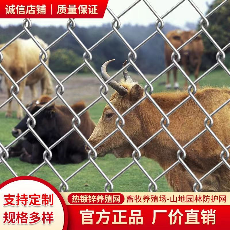 镀锌铁丝网护栏网勾花网户外养殖牛羊猪钢丝网果园围栏防护菱形网