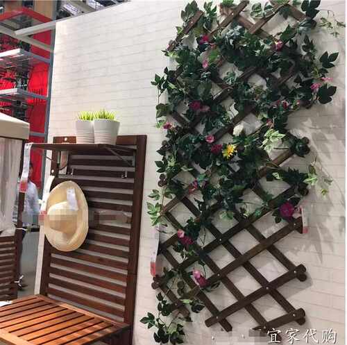 阿霍蒙棚架植物架子花盆爬藤架