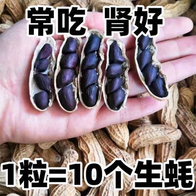 农科院云南黑花生新鲜带壳生的原味炒熟黑皮花生去壳花生米种籽子