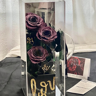 乌梅子酱手提盒永生花礼盒告白礼物送闺蜜女友老婆七夕情人节生日