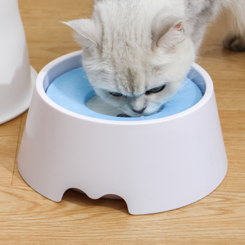狗狗喝水碗猫水碗猫咪护颈不湿嘴