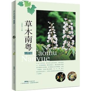 草木南粤山野篇 植物图鉴 植物大全 植物达人 植物书青少年科普读物  爱植物爱自然爱科学关于植物的书 野外植物观察 吴健梅编