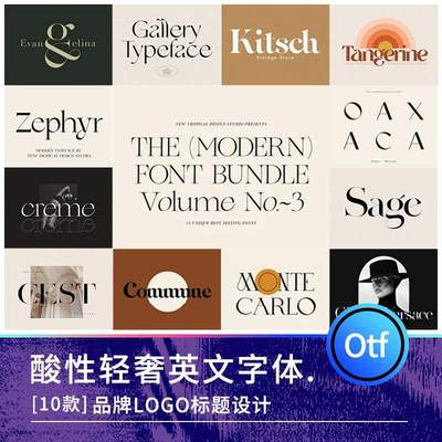 优雅酸性轻奢衬线艺术字体海报标题写真英文logo品牌设计winMAC