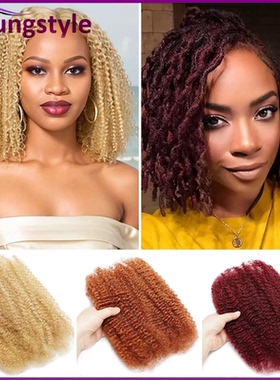 27# Afro Kinky Curly Bulk Peruvian Human Hair For Braiding
