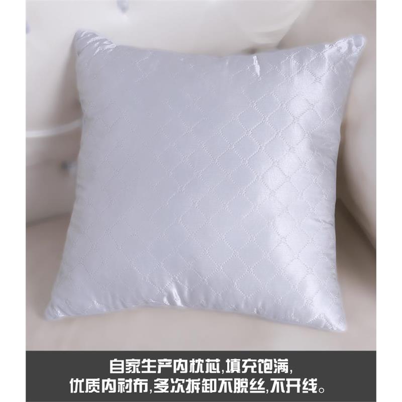 抱枕芯靠枕芯填充沙发床头客厅靠垫芯长方形正方形棉芯饱满加厚