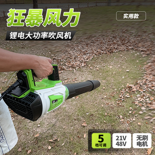 锂电落叶吹风机大功率吹雪机背负式 工业鼓风机环卫吹落叶STK8A516
