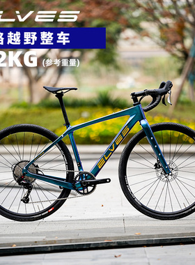 ELVES精灵量版公路越野碳纤维油碟自行车半内走50码硬叉超轻整车