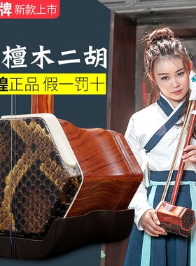 敦煌牌二胡乐器04A红檀木木轸04B铜轸机械轴初学考级演奏专业胡琴