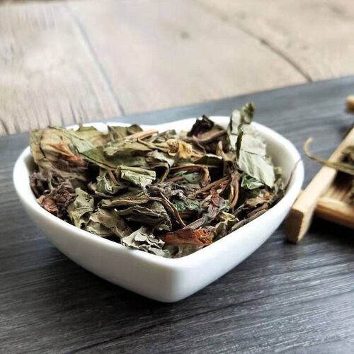 寻百草中药材500g鱼腥草干根新鲜折耳根野生鱼腥草茶鱼星草叶泡水