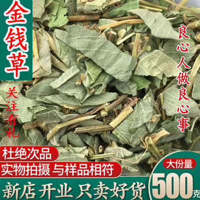 广西大叶金钱草500新鲜