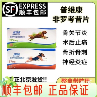 法国普维康宠物狗骨折髌骨脱位关节炎手术髋关节发育不良脱位止疼