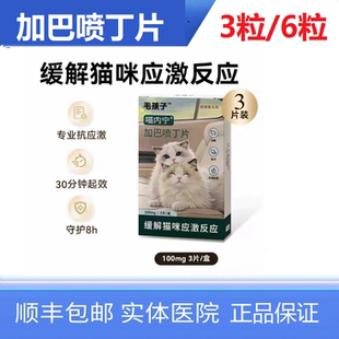 毛孩子喵内宁加巴喷丁猫用片剂猫咪防应激药止疼舒缓情绪抗应激药