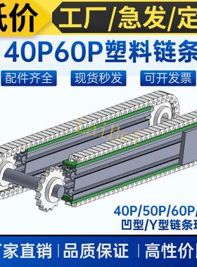 2-亚光塑料链条60P节距19.05小链板40P塑料12.07输送机配件双排