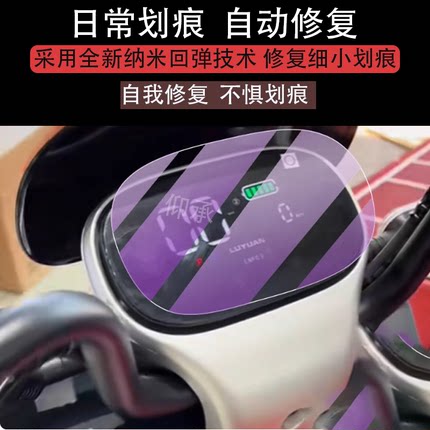 适用于绿源F10仪表膜绿源f10电动车液晶贴膜绿原显示屏LY1000DT-9