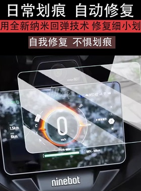 适用九号猎户座DZ110P仪表钢化膜25款电动车E300P MK2显示屏保护膜DZ110PMK2液晶表盘贴膜猎户座2代镜头膜