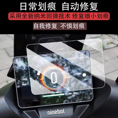 适用九号猎户座DZ110P仪表钢化膜25款电动车E300P MK2显示屏保护膜DZ110PMK2液晶表盘贴膜猎户座2代镜头膜