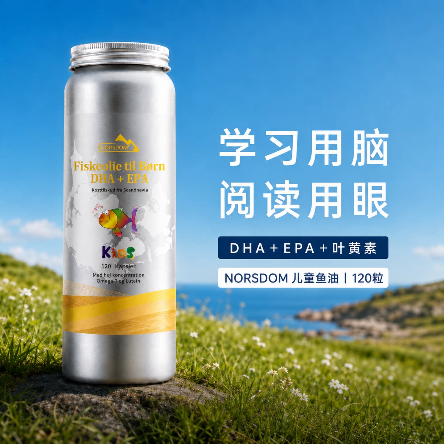 27年4月 清仓特价 丹麦NORSDOM儿童鱼油青少年学生记忆力脑力补充