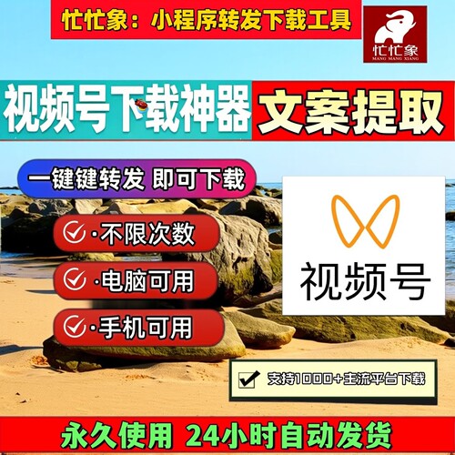 视频号下载工具电脑去水印处理无设备限制p站网页相册代下视频mp4