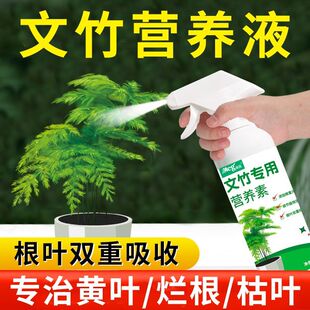 谢谢下单美高文竹专用营养液家用室内文松盆景水培盆栽绿植通用型
