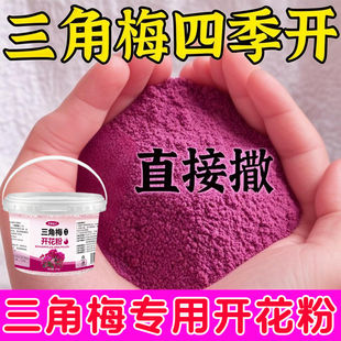 谢谢下单三角梅营养液专用催花养花通用型盆栽家用花卉促花复活速