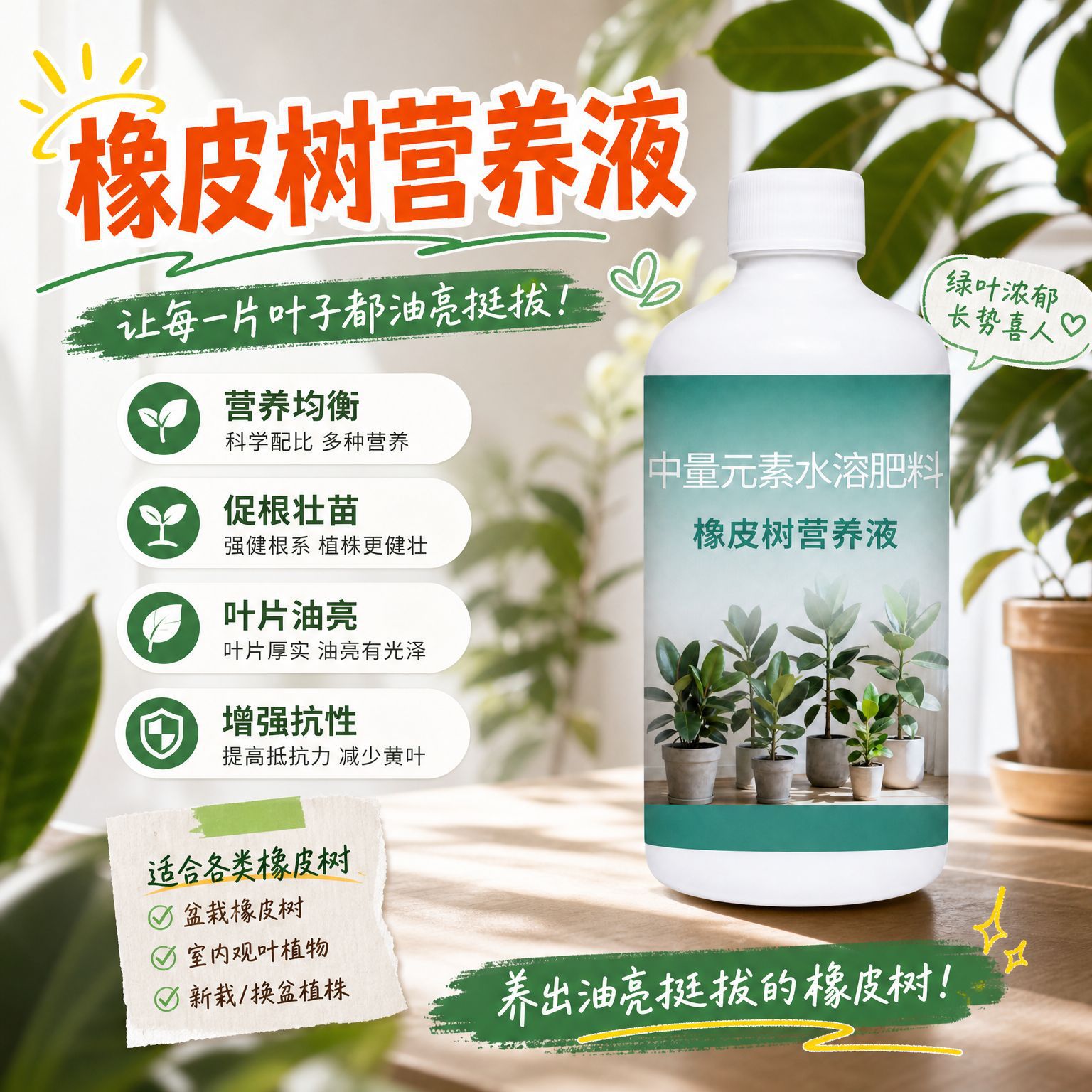 橡皮树专用浓缩营养液黑金刚盆栽防黄叶掉叶促新叶油亮水溶肥图片