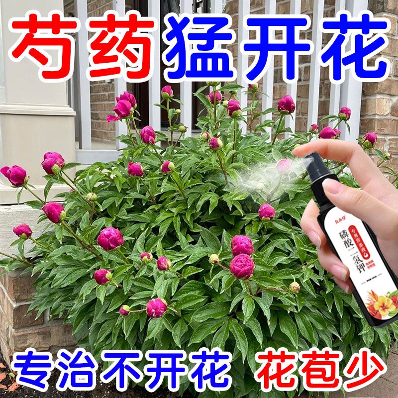 芍药专用营养液促进生长冒新芽治黄叶延花期通用型免稀释专用肥 鲜花速递/花卉仿真/绿植园艺 家庭园艺肥料 原图主图