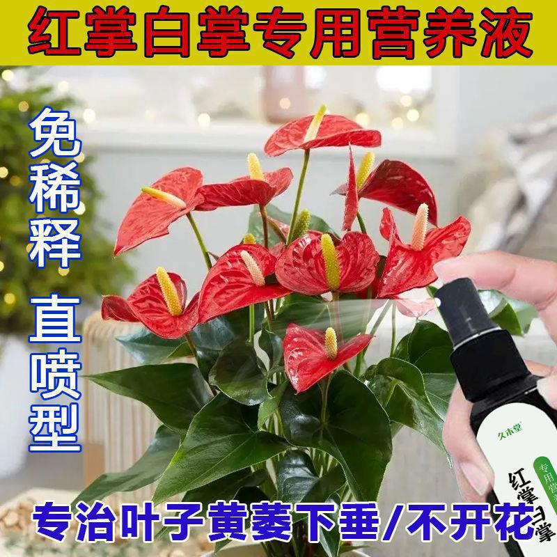 红掌专用肥料白掌营养液一帆风顺营养液红掌专用营养液白掌肥料