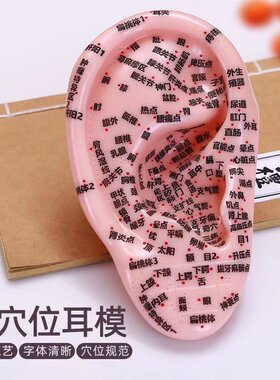 针灸模型耳朵压豆耳贴廓理疗清晰多穴位刻字耳穴膜型耳部18厘米