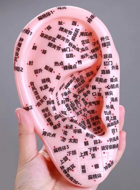 针灸耳模型多穴位耳膜型刻字版模型字迹不脱落18厘米右耳反射区