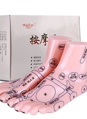 脚底穴位模型反射区按摩足脚部穴位足部穴位模型大字体高清20厘米