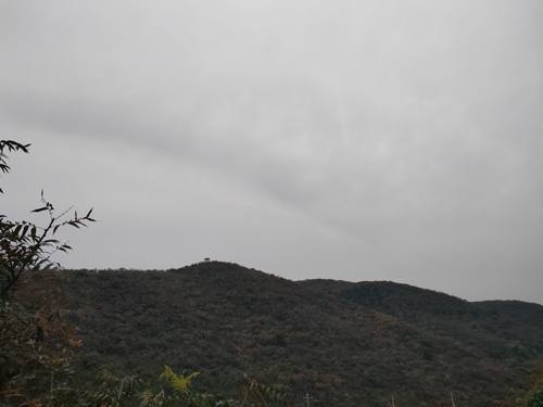 工程造价工程预算结算工程量清单招标投标报价