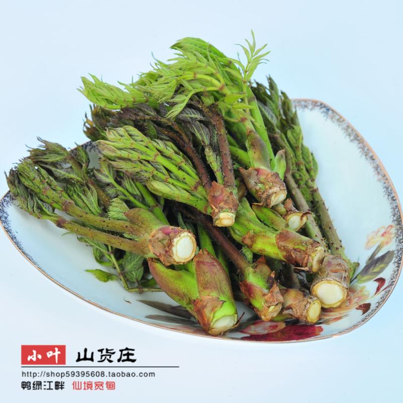 250g 东北辽宁宽甸山野菜包邮野生刺嫩芽新鲜刺老芽刺龙芽无公害