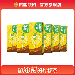 6盒 果味茶饮料体验装 余甘子 东鹏饮料 由柑柠檬茶250ml