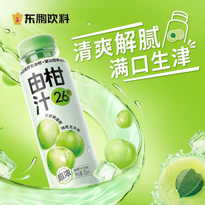 东鹏由柑汁饮料300ml*12瓶