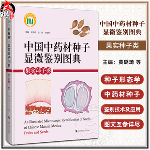 等编 中药材种子 上海科学技术出版 果实种子类 社9787547864142 显微特征 黄璐琦 细胞结构 中国中药材种子显微鉴别图典 形态性状