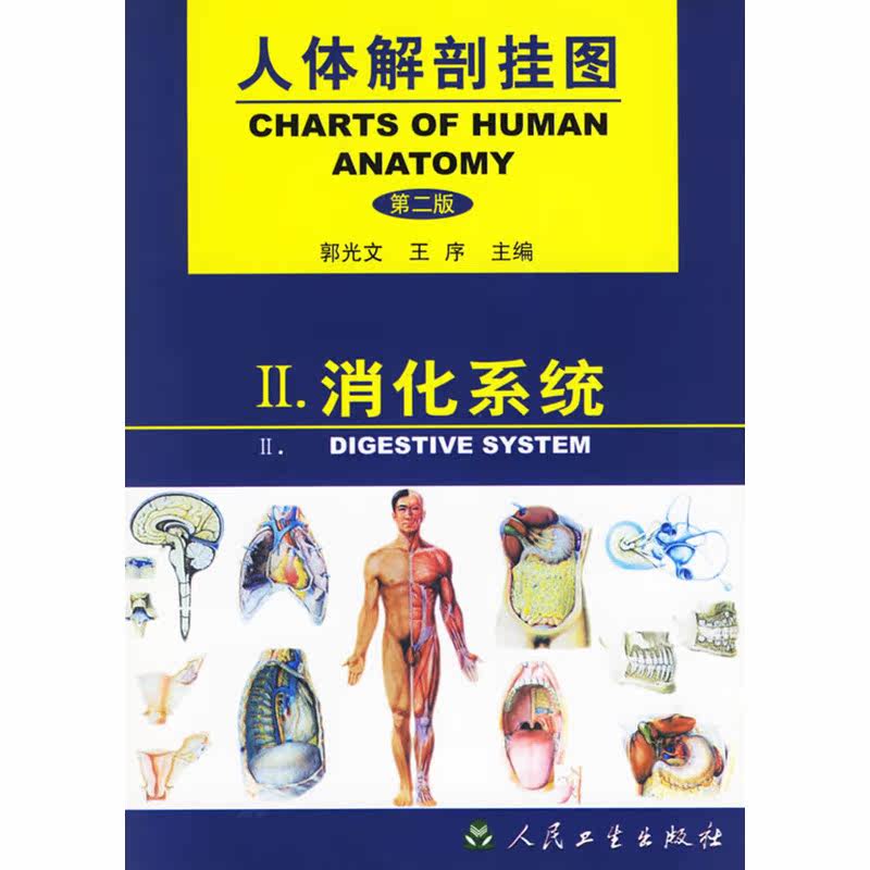 人体解剖挂图 消化系统 第二2版 郭光文 王序 人民卫生出版社9787117038034