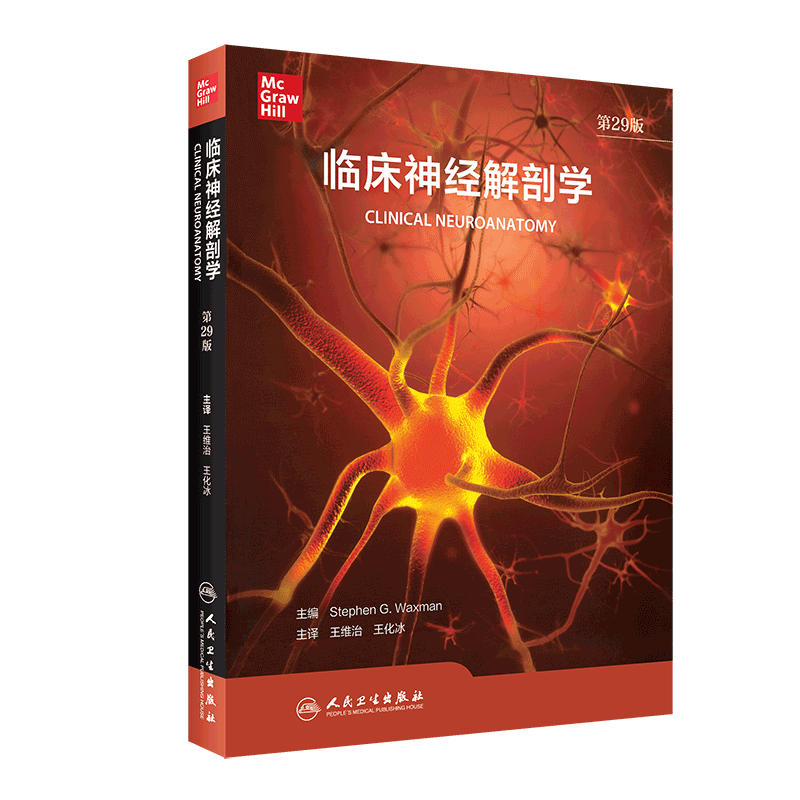 临床神经解剖学 第29版 神经内外科医师专业基础教科书 神经病精神病学书籍 王维治 王化冰 主译9787117314565人民卫生出版社