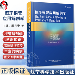 恒牙根管应用解剖学口腔科医生