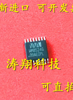 进口原装 WM8524CGEDT WM8524GEDT WM8524G TSSOP16 可直拍