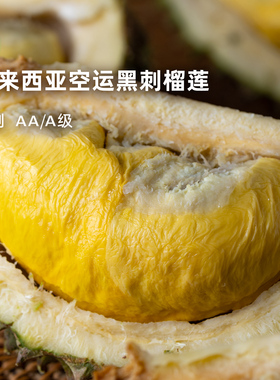 企鹅市集 黑刺榴莲 马来西亚整颗D200自然树上熟榴莲空运鲜果