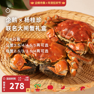 企鹅市集 杨桂珍大闸蟹 太湖大闸蟹礼盒鲜活螃蟹时令水产