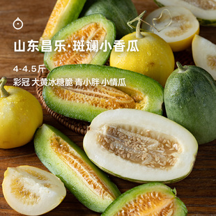 企鹅市集 斑斓香瓜盲盒 山东昌乐薄皮甜瓜蜜瓜水果≥3品种4-4.5斤