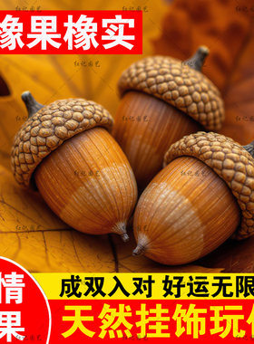 橡树果橡果饰品大橡子果橡实带帽幼儿园儿童装饰摆件挂饰小物件