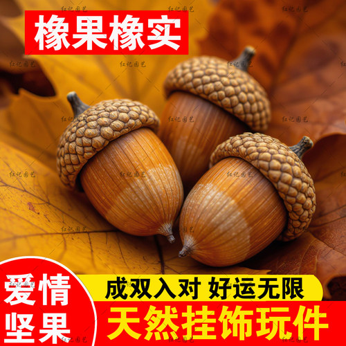 天然橡果橡树果实挂饰小摆件