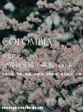 咖啡豆下单烘焙 哥伦比亚Colombia分界线庄园 希爪 Sidra厌氧日晒
