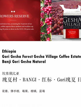 质能方程 埃塞俄比亚Ethiopia瑰夏村红标日晒 Gesha Village Gori