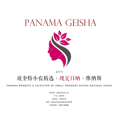 咖啡豆巴拿马瑰夏Geisha日晒浅烘